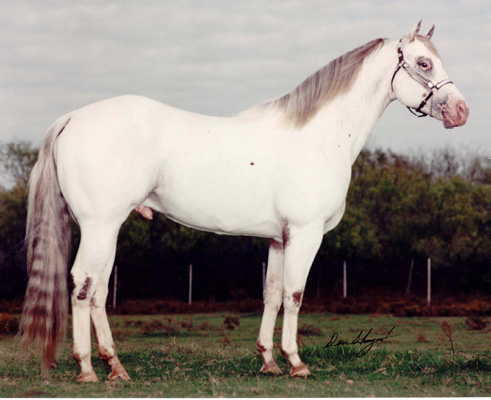 Charicature, Ultra Modern Look